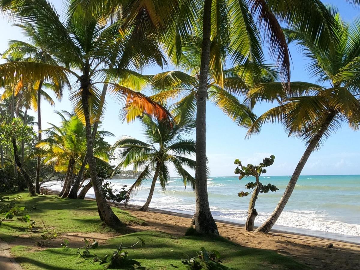 Hotel Bahia Punta Bonita Las Terrenas Eksteriør bilde